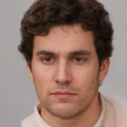 Storm Hammer Gummies Ireland